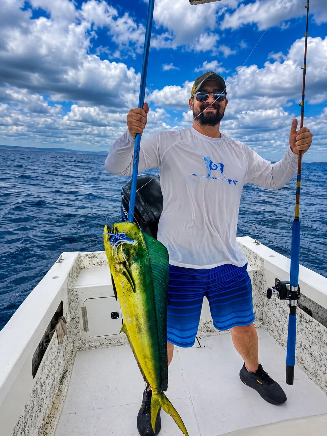 Dorado