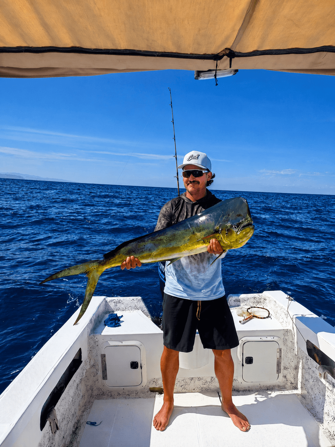 Dorado recién subido, a la sombra del toldo