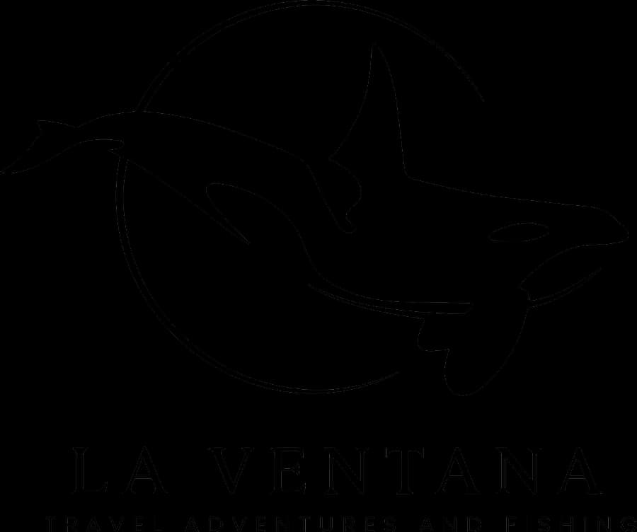 La Ventana Travel